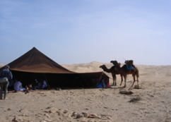 Eco Camping Khnifiss