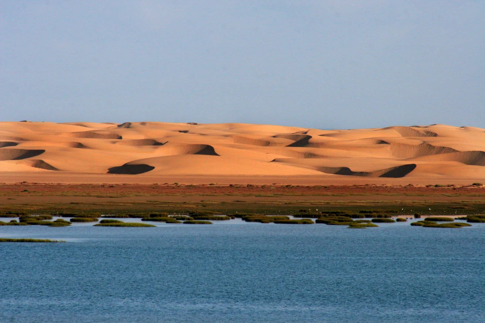 عن خنيفيس